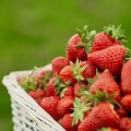 Клубника при похудении: можно ли и сколько ягод не помешает сбросу лишнего веса