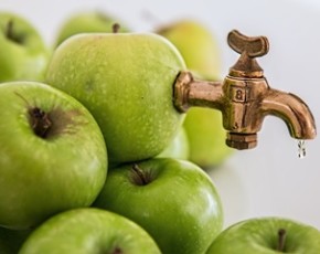 Польза и вред яблочного уксуса для организма. Можно ли с его помощью похудеть