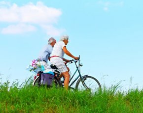 Физические упражнения у пожилых людей активируют участки мозга, связанные с памятью