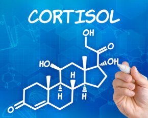 Стрессовый гормон кортизол: что это такое