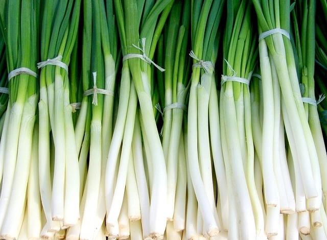 green-onion-699943_640