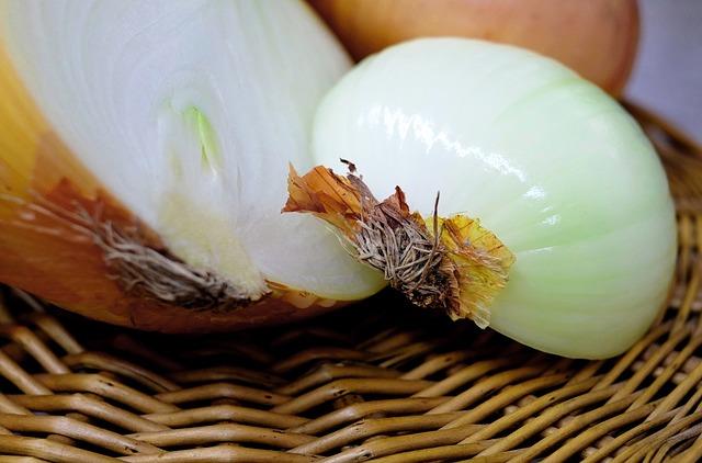 onion-1144627_640