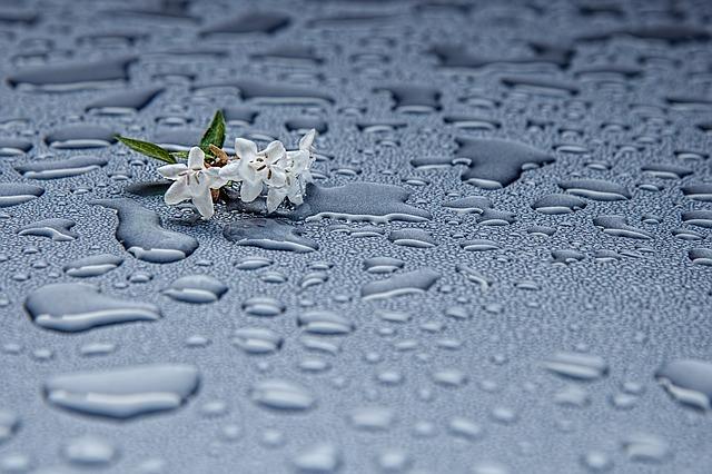 rain-drops-412465_640