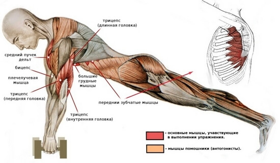 foto_1