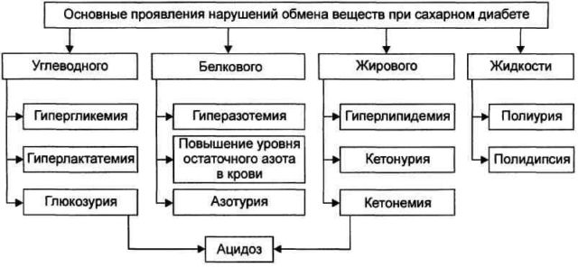 Симптомы нарушения обмена веществ и способы устранения причин проблем с похудением