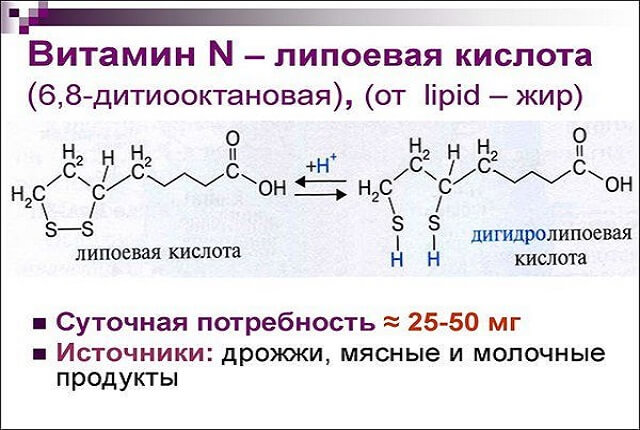 Альфа-липоевая кислота: сожжет ли она ненавистные кг?