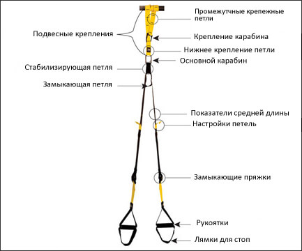 TRX-тренировка – что это такое: польза, нюансы, противопоказания